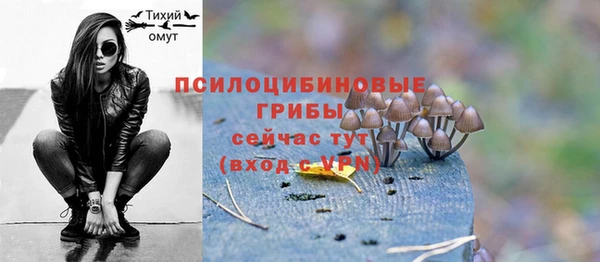 бошки Алексин