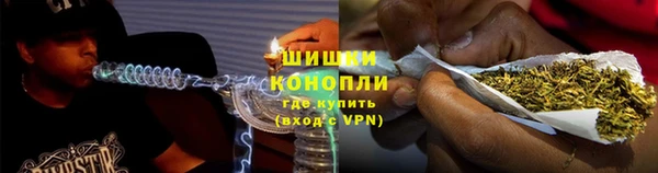 бошки Алексин