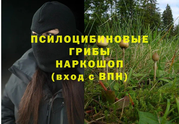 бошки Алексин