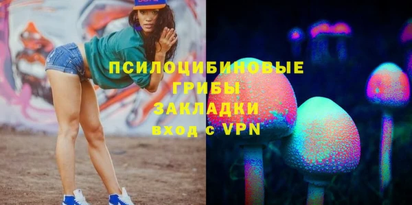 бошки Алексин