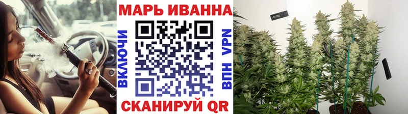 Шишки марихуана планчик Балашов